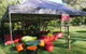Adina Lodge Holiday Apartments - thumb 33