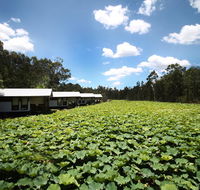 The Boathouses at Leaves  Fishes - Accommodation Asia