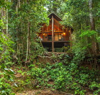 The Canopy Rainforest Treehouses  Wildlife Sanctuary - Accommodation China
