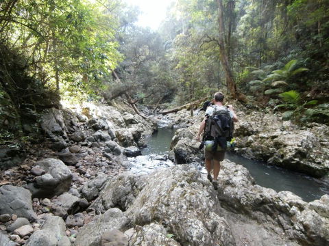 The Canungra Motel - Accommodation Asia 1
