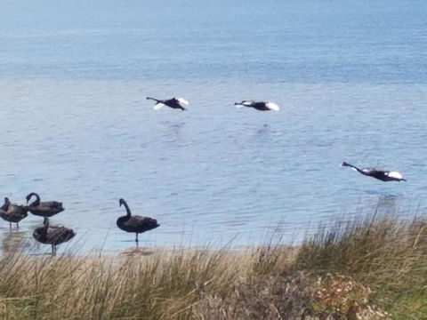 The DOLPHIN PLACE - Accommodation Asia 0