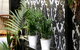 The George Boutique Hotel - thumb 3