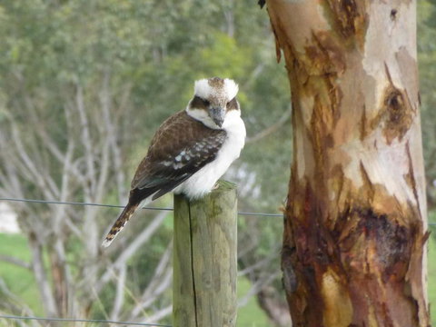 The Little House On The Hill - Accommodation Asia 1