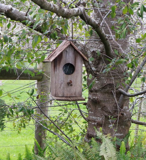 The Little House On The Hill - Accommodation Asia 3