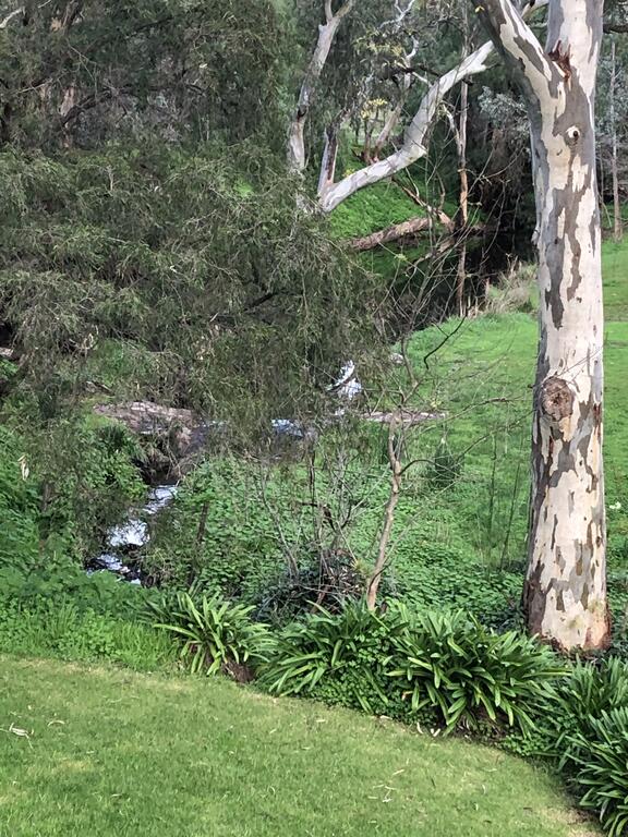 Cockatoo Valley SA Accommodation Asia
