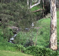 The Miners Cottage Barossa - Accommodation Asia