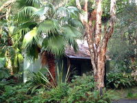 The Oasis at One Mile Beach