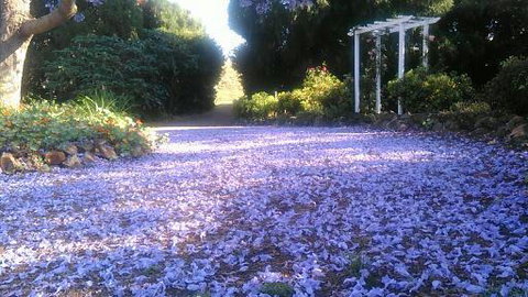 The Old Church Bed And Breakfast - Accommodation Asia 2