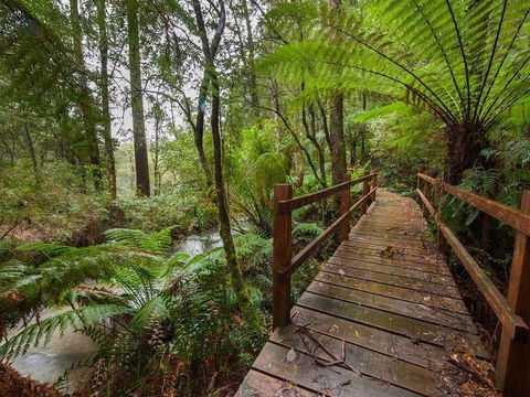 The Source, Otways - Accommodation Asia 0
