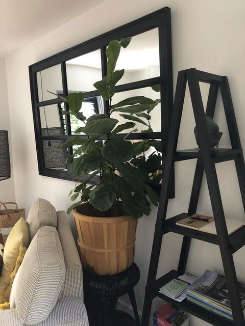 The Stewart - Accommodation Asia 0