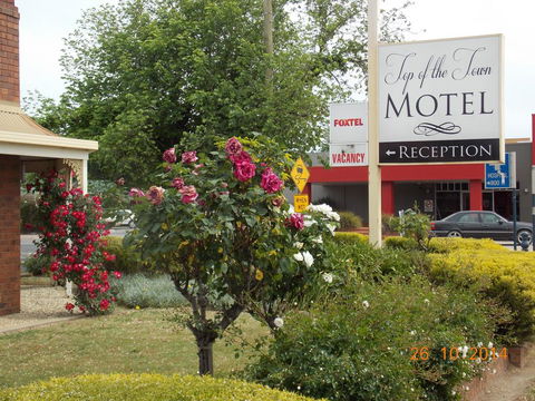 Top Of The Town Motel - Accommodation Asia 3