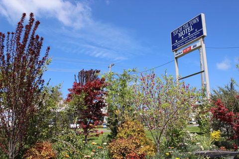 Top Of The Town Motel - Accommodation Asia 1