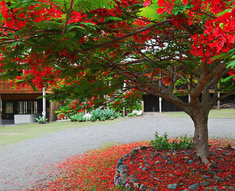 TRANQUILO BEACH HOUSE - Accommodation Guide 2