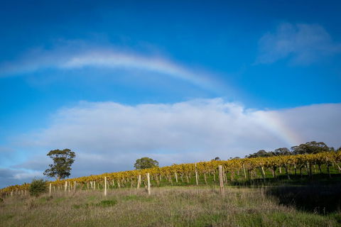Triple Creek Guest House - Barossa Region - Accommodation Guide 2