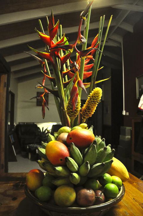 Tropical Bliss Bed And Breakfast - Accommodation Asia 3