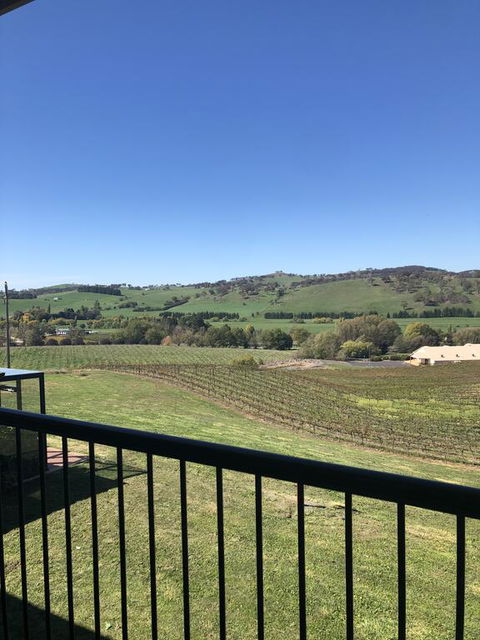 Turners Vineyard Motel - Accommodation Asia 2