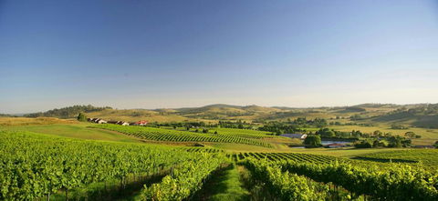 Turners Vineyard Motel - Accommodation Asia 0