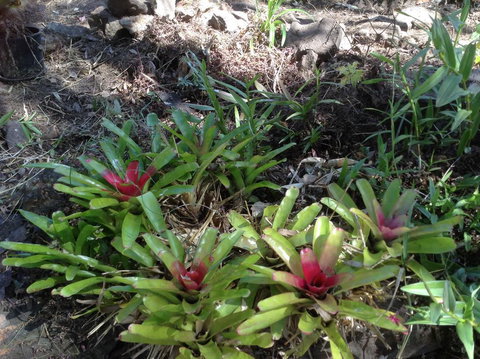 Twilight Grove Farm - Accommodation Guide 1