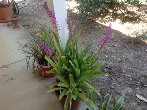 Twilight Grove Farm - Accommodation Guide 2