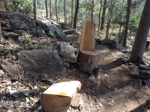 Twilight Grove Farm - Accommodation Guide 3