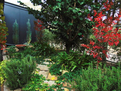 Twin Palms Castlemaine - Accommodation China 1