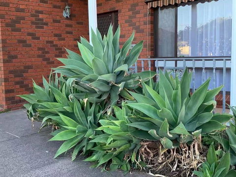 Vintage House In Bentleigh East - Accommodation Guide 1