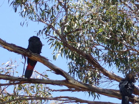 Wanderers Rest Of Kangaroo Island - Accommodation Asia 2