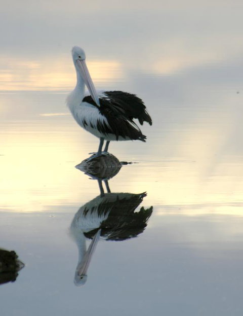 Wanderers Rest Of Kangaroo Island - Accommodation Asia 3
