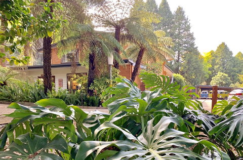 Warburton Motel - Accommodation Guide 0