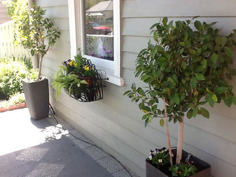 Redruth Cottage - Accommodation Asia 19