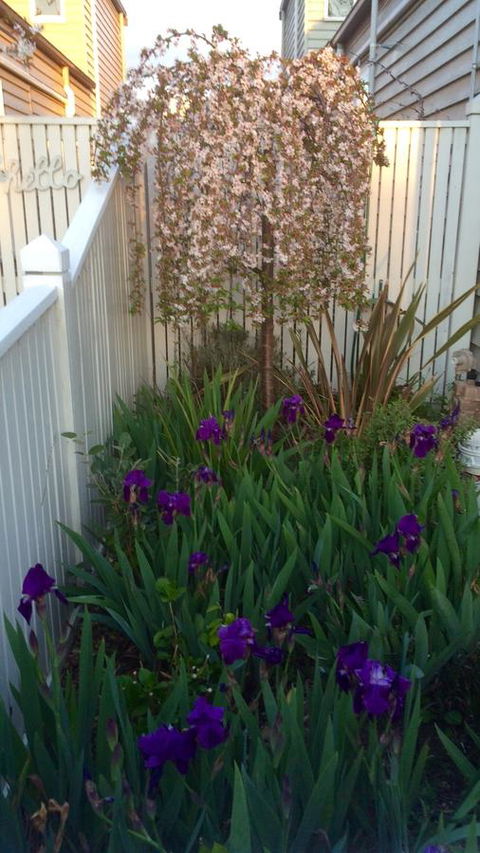 Redruth Cottage - Accommodation Asia 24