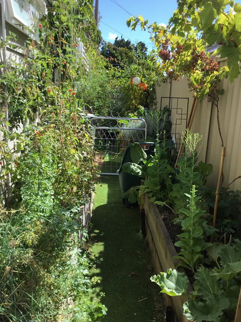 Redruth Cottage - Accommodation Asia 7