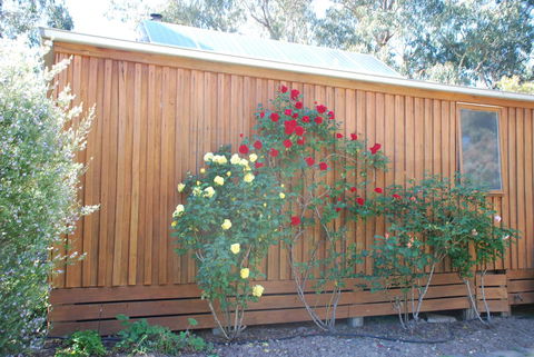 Bluegum Ridge Cottages - Accommodation China 23