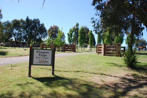 Bluegum Ridge Cottages - Accommodation China 1