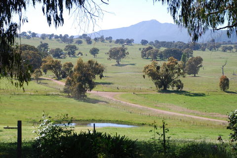 Bluegum Ridge Cottages - Accommodation China 31