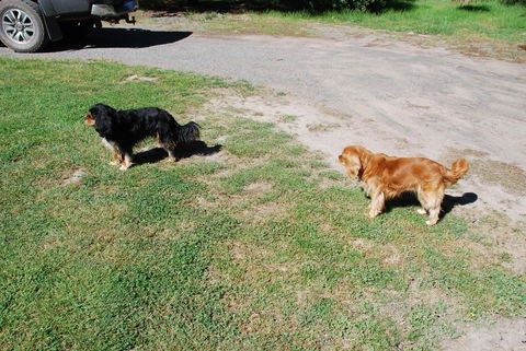 Bluegum Ridge Cottages - Accommodation China 6