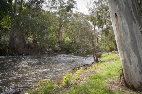 Oscar\'s On The Yarra - Accommodation Asia 23