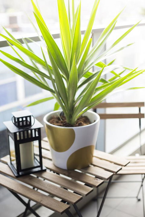 Complete Host 50 Claremont St Apartments - Accommodation Guide 6