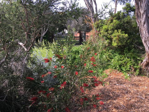 Andrew's On Topaz - Accommodation Guide 1