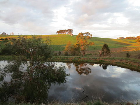 Walnut Cottage Via Leongatha - Accommodation Guide 10