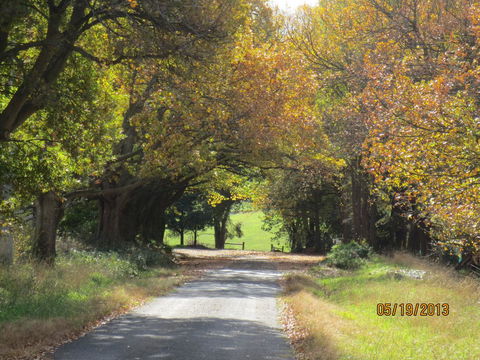 Walnut Cottage Via Leongatha - Accommodation Guide 11