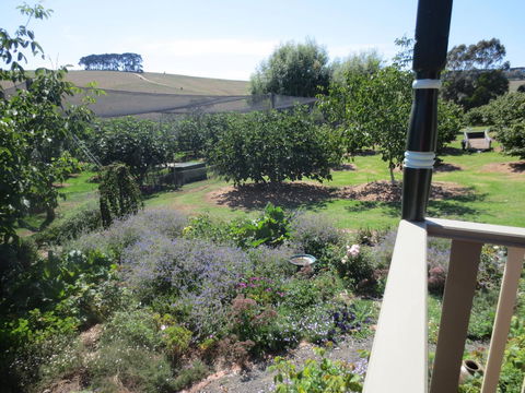 Walnut Cottage Via Leongatha - Accommodation Guide 9