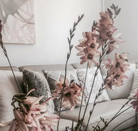 Bed of Roses - Accommodation Asia