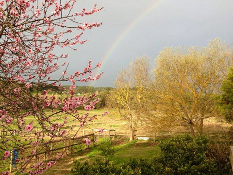 Australian Home Away @ Wonga Park Brushy Creek - Accommodation China 19