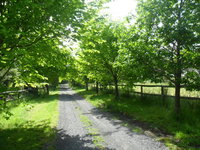 Book Wonga Park Accommodation Vacations Accommodation Asia Accommodation Asia