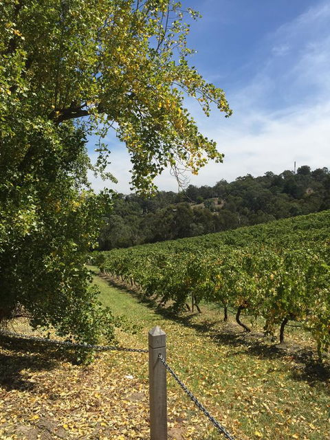 Australian Home Away @ Wonga Park Brushy Creek - Accommodation China 1