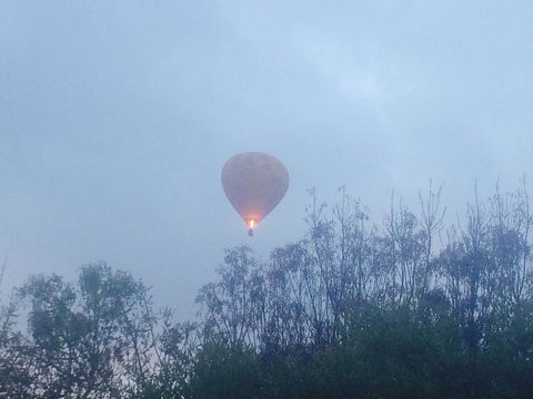 Australian Home Away @ Wonga Park Brushy Creek - Accommodation China 21