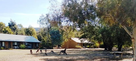 Grampians Pomonal Cottages - Accommodation Asia 6