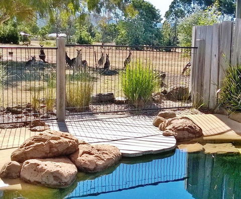 Grampians Pomonal Cottages - Accommodation Asia 24