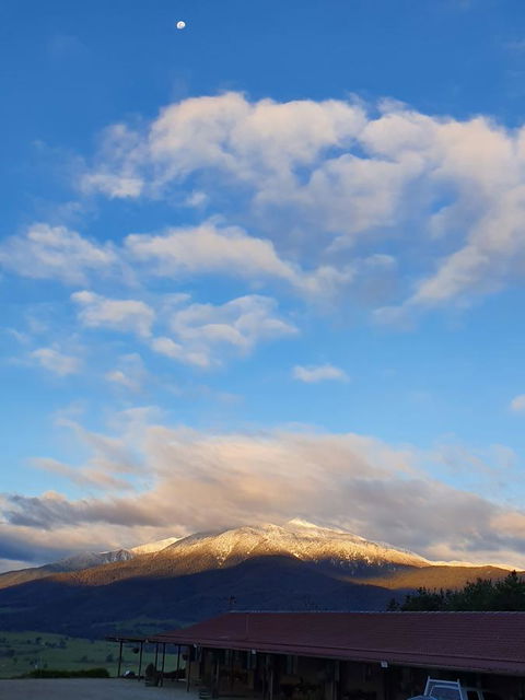 Allamar Motel - Accommodation China 3